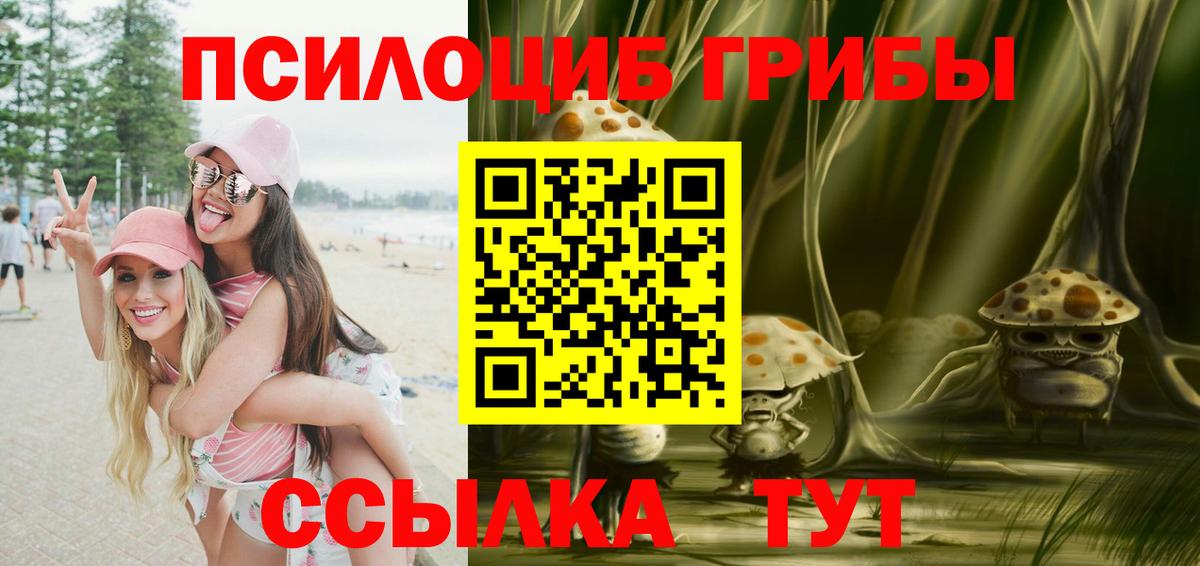 где купить   Псилоцибиновые грибы мицелий  Каспийск  Вход с VPN  Галлюциногенные грибы Cubensis 